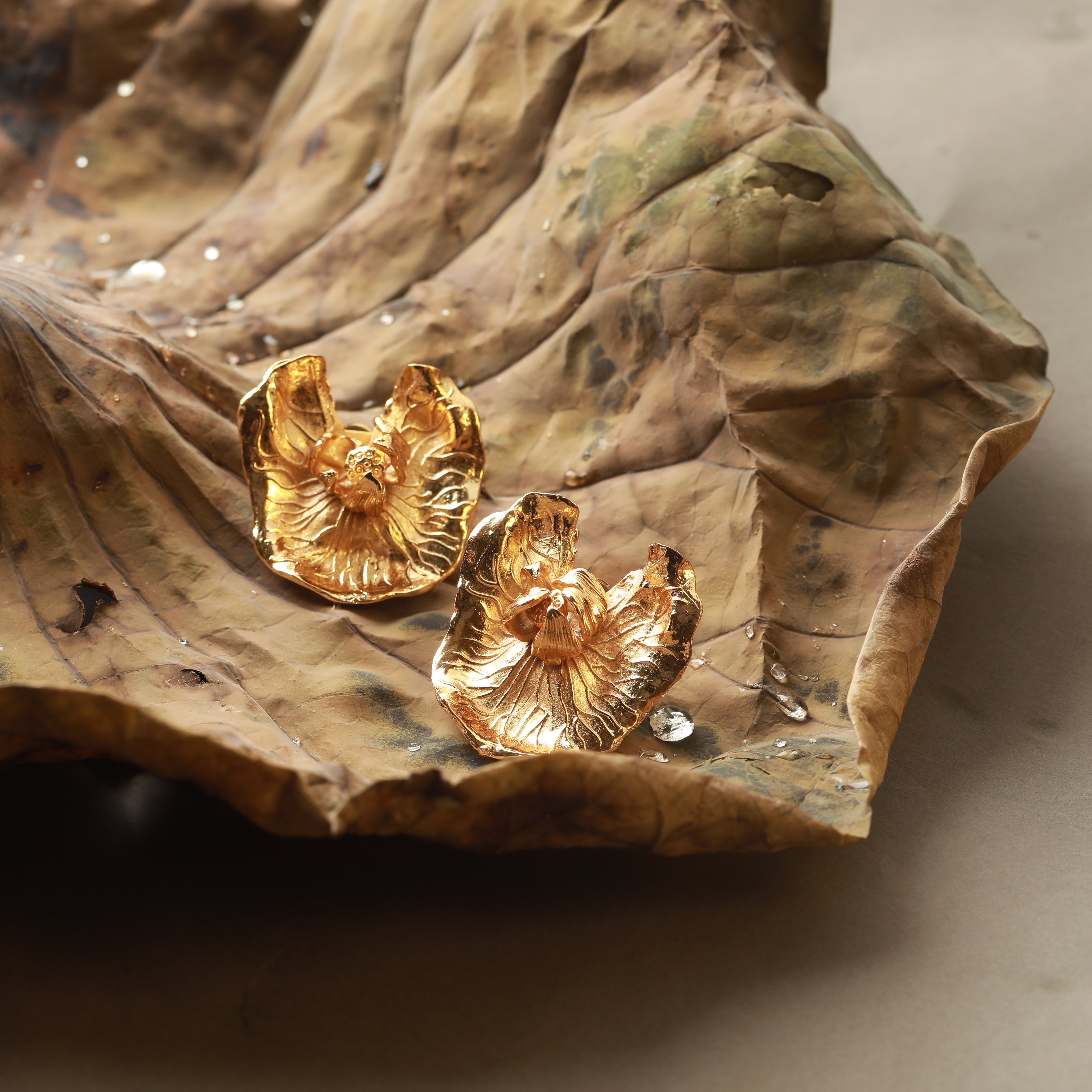 Jaldhara Statement Earrings