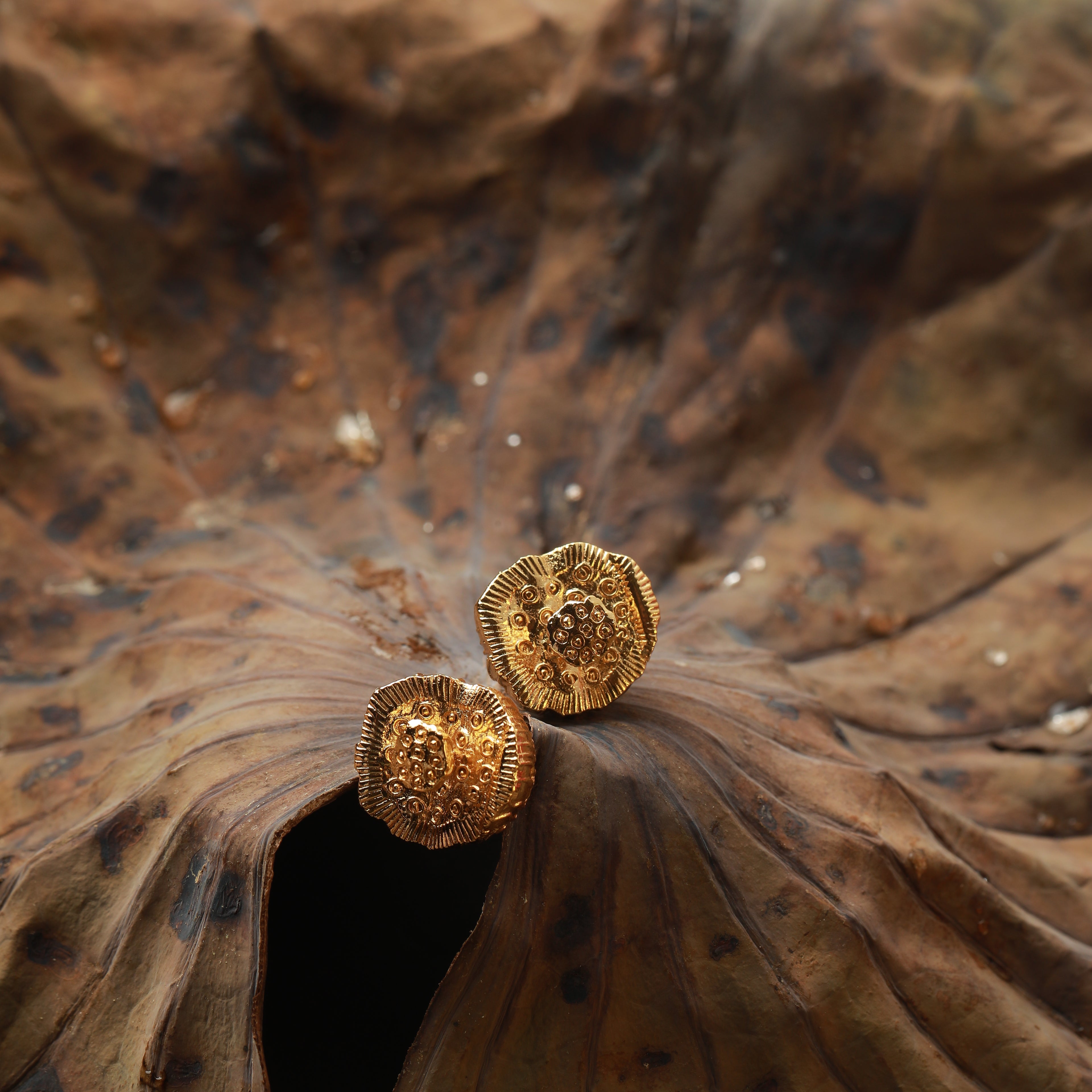 Sahaj Earrings
